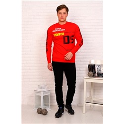 Толстовка #666763