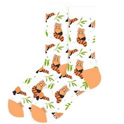 Носки р.35-40 "Cute Animals" Енот