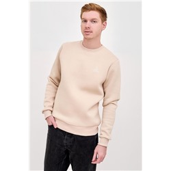 Толстовка мужская Бронд 2 Арт. 9089