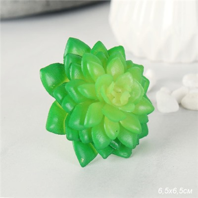 Суккулент искусственный 6,5х6,5 см / GN104 /уп 100/