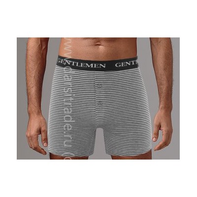 Трусы мужские GB7820 Gentlemen BIG боксеры