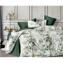 Постельное белье из поплина cтандарт ПВ30-1474