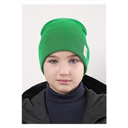 Шапка 1087865