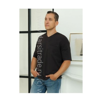 Футболка мужская №1900M-20050 Almando Melado Дроп