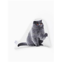 Подушка декоративная «Этель» British cat, 40×33 см, велюр