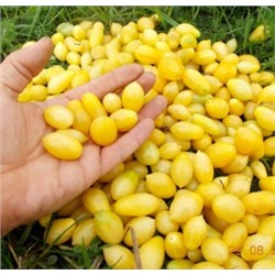 Помидоры Черри Сумасшедшие Ягоды — Bаrry’s Crazy Cherry Tomato (10 семян)