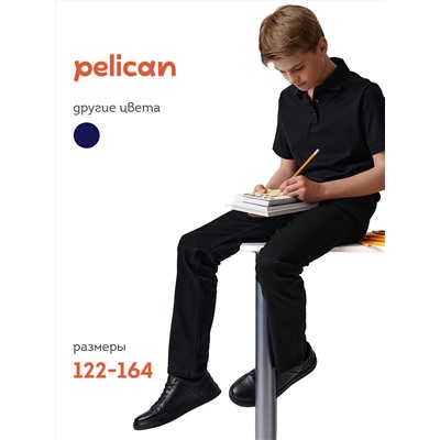 PELICAN Брюки BWP7124