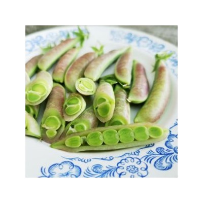 Снеп Горох Усатый Весенний Румянец — Snap Spring Blush Tendril Pea  (10 семян)