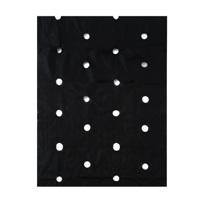 Материал мульчирующий, с перфорацией (4 ряда), 20×1.6 м, плотность 80 г/м², спанбонд с УФ-стабилизатором, чёрный, Greengo, Эконом 30%