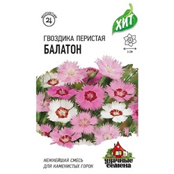 Гвоздика Перистая Балатон ХИТ (Код: 84884)