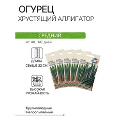 Семена Огурец  "Хрустящий аллигатор ",набор 5 шт