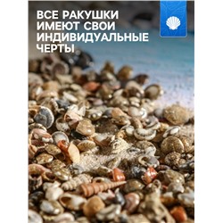 Набор ракушек Умбониум Вестериум, 100 г