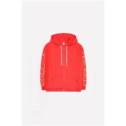 Толстовка #217107