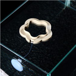 Кормушка для рыб плавающая, 7×7 см, серая