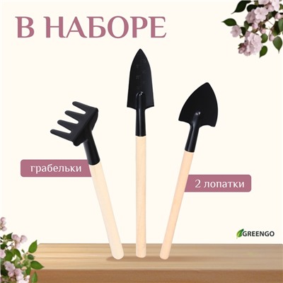 Набор садового инструмента для комнатных растений, 3 предмета: грабли, 2 лопатки, длина 24 см, деревянные ручки, Greengo