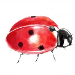 Крем со смягчающим эффектом: правильное питание ВСЕ НА ПП!   50 мл