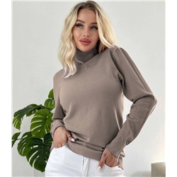 Водолазка 104566