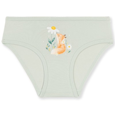 5838 Трусы для девочки многоцвет (BAYKAR)