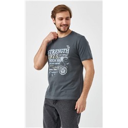 Футболка F311-06-750 fume