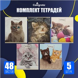 Набор тетрадей, 48 листов в клетку, Calligrata «Милые котята», серые листы, 5 штук