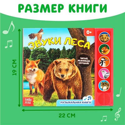 Музыкальная книга «Звуки леса», 5 звуков, 10 стр.