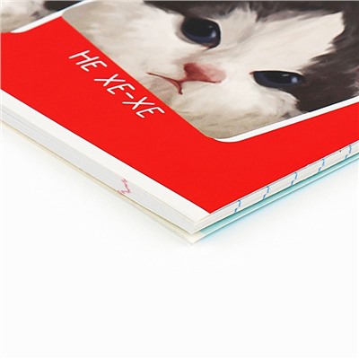 Тетрадь в линейку, предметная, 36 л., на скрепке, блок №1«Мемы. Литература»