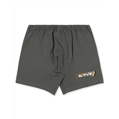 3918 Боксеры для мальчиков многоцвет (BAYKAR)