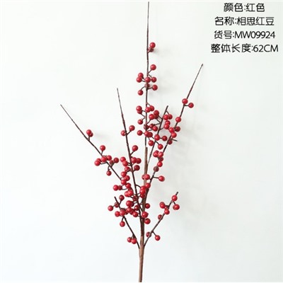 Плоды падуба MW09924