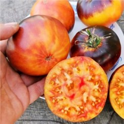 Помидоры Любовное Наслаждение от Близости при Свете Дня — Afternoon Delight Tomato (10 семян)