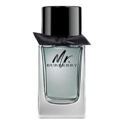 BURBERRY MR. BURBERRY edt (m) 100ml TESTER