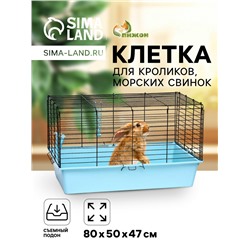 Клетка для кроликов, морских свинок "Пижон" №4 складная , 80 х 50 х 47 см, бирюзовая