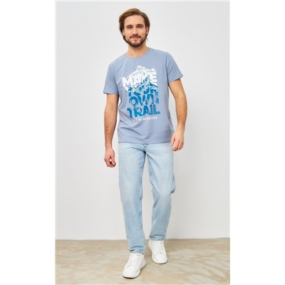 Футболка F411-06-790 grey