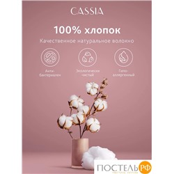 CASSIA ЛЮКС Страйп Сатин бел К-т Наволочек 50x70-2, 2 пр., хл/сатин