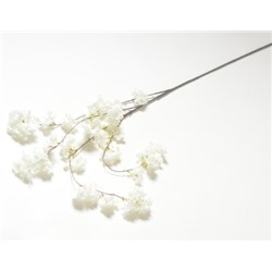 Ветка сакуры свисающая