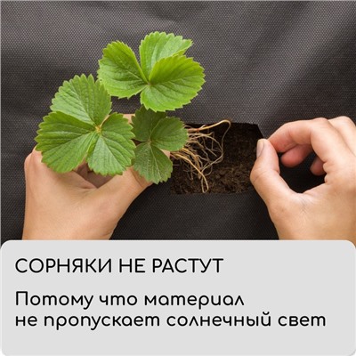 Материал мульчирующий, с перфорацией, 5×1.6 м, плотность 80 г/м², спанбонд с УФ-стабилизатором, чёрный, Greengo, Эконом 30%