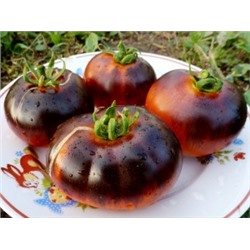 Помидоры — Red Charcoal — Красный Уголь (10 семян)