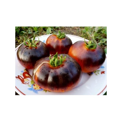 Помидоры — Red Charcoal — Красный Уголь (10 семян)
