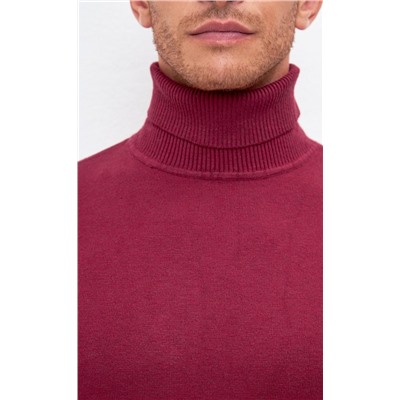 Водолазка мужская F121-01-868 бордовая