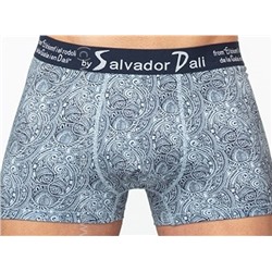 SD2055-1 Трусы мужские Salvador Dali боксеры