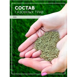 Газон «Красотень», травосмесь, Эконом, 25 кг