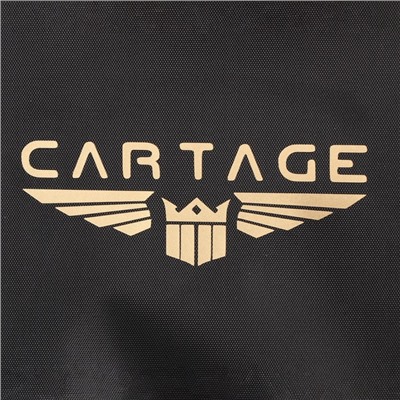 Термосумка Cartage Т-14, черная, 10 л, 26×19×19 см