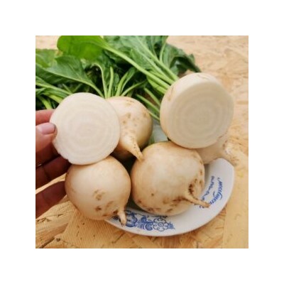 Свёкла Детройтская Белая — White Detroit Beet (40 семян)