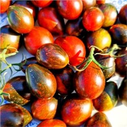 Помидоры Синий Кейс — BLUE KEYES Tomato (10 семян)