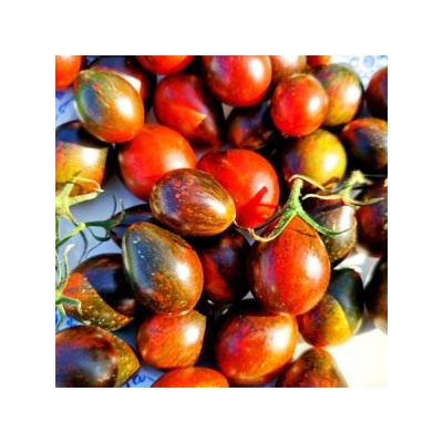 Помидоры Синий Кейс — BLUE KEYES Tomato (10 семян)