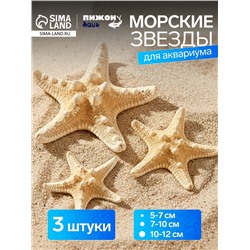 Набор из 3 морских звезд, размер 5-7 см, 7-10 см, 10-12 см, белый