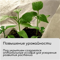 Материал укрывной, 5×1.6 м, плотность 30 г/м², спанбонд с УФ-стабилизатором, белый, Greengo, Эконом 30%