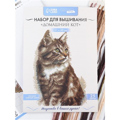 Вышивка крестиком «Домашний кот», набор для творчества, 21×30 см