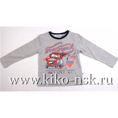 16190 Пусер с длинным рукавом Серый/98