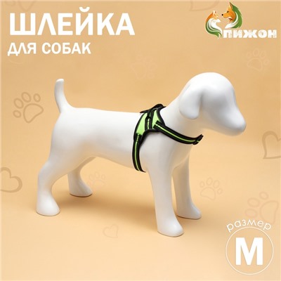 Шлейка улучшенная К7 мягкая светоотражающая, размер М, ОГ 52-66 см, вес 9.5-17.5 кг, зелёная