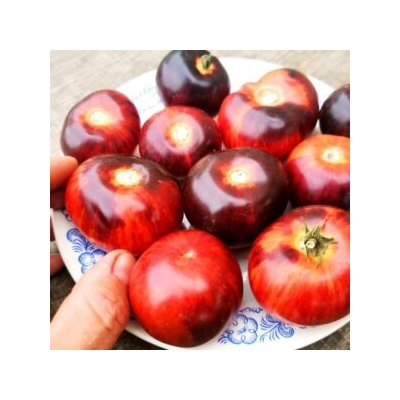 Помидоры Антоцианный Гном в Полоску — Antho Striped Dwarf Tomato (10 семян)